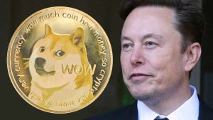 DOGE COIN