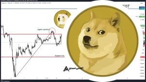 DOGEUSDT